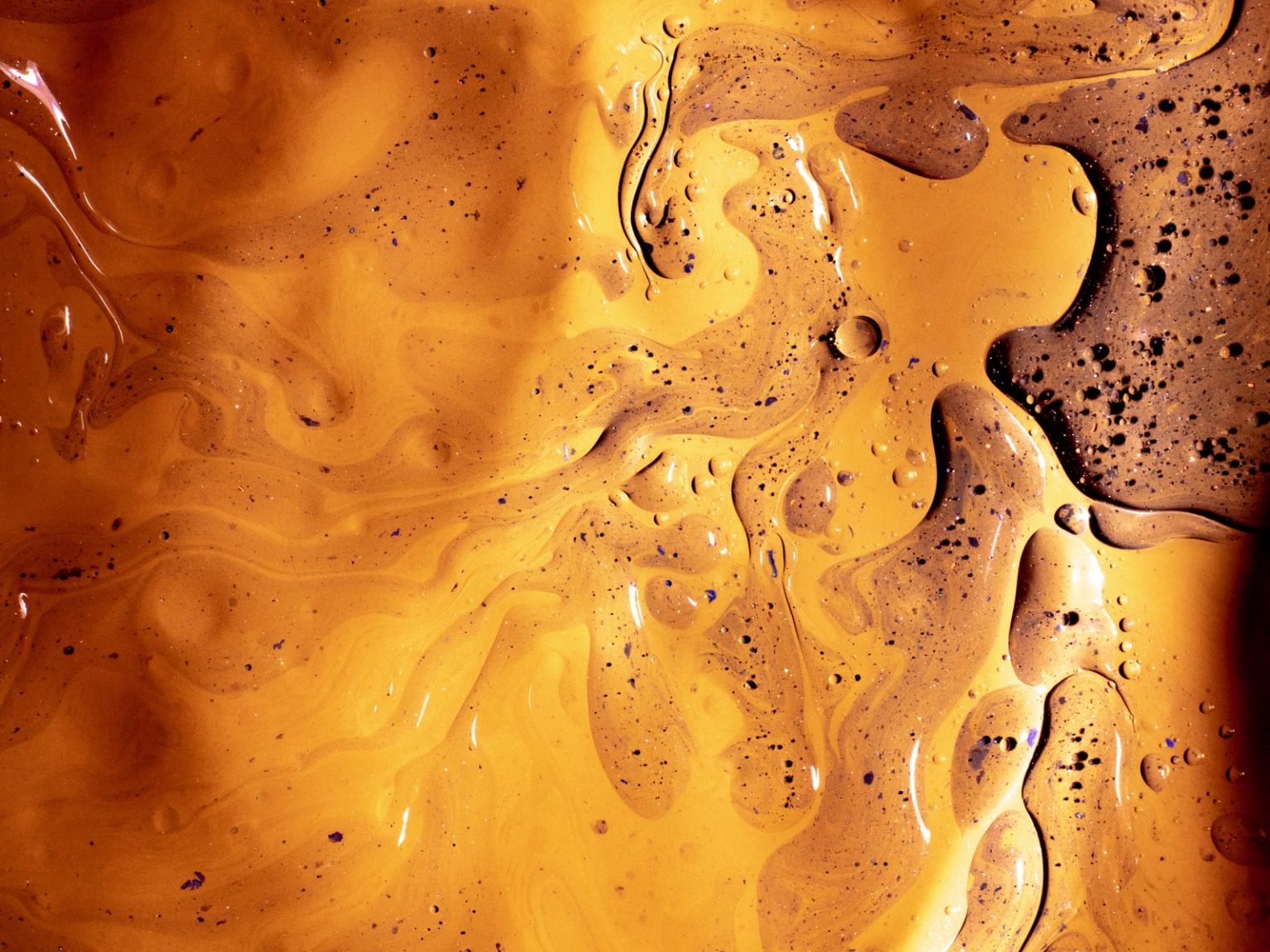 How to Dispose of Grease From Grill or Griddle? Solved(2023)